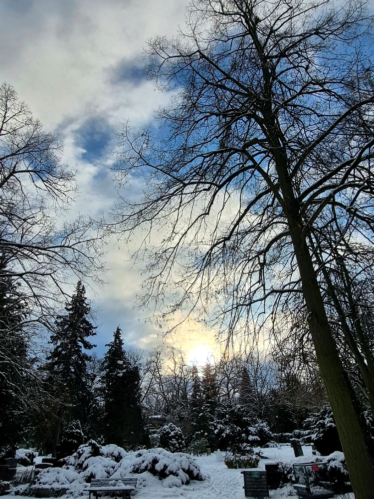 Bild hochgeladen von Hagalaz