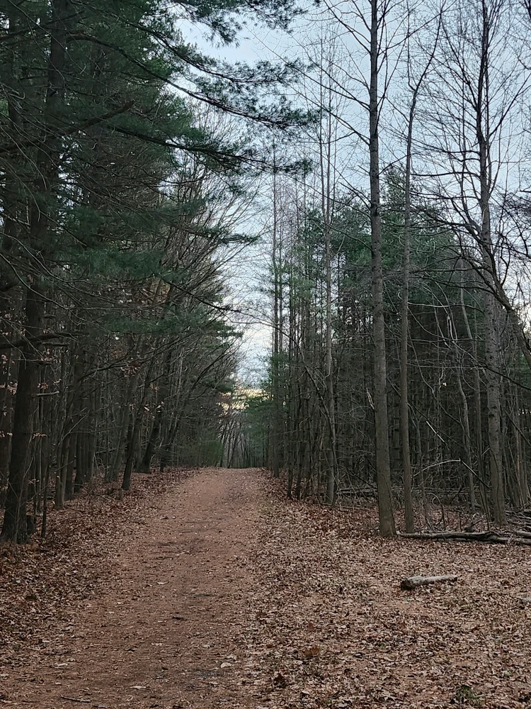 GIF uploaded by Oscar