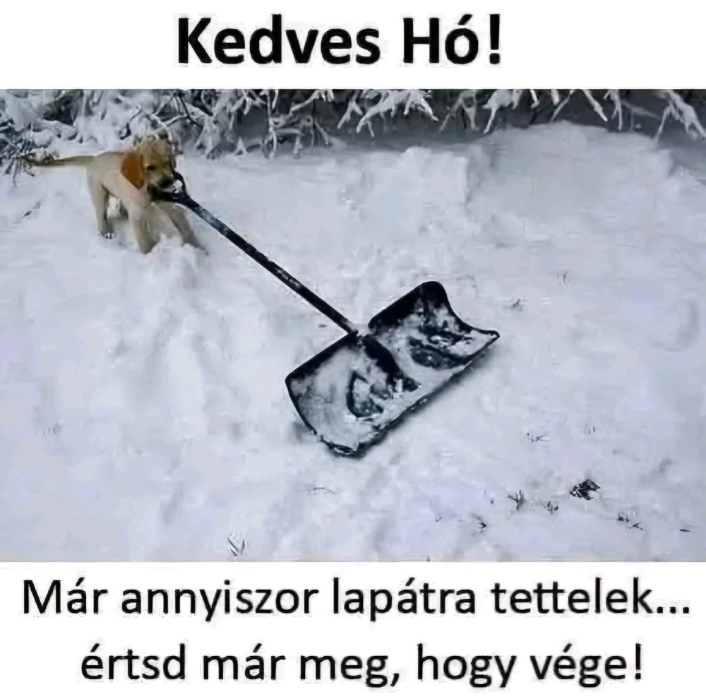 Horváth Szabolcs által feltöltött GIF