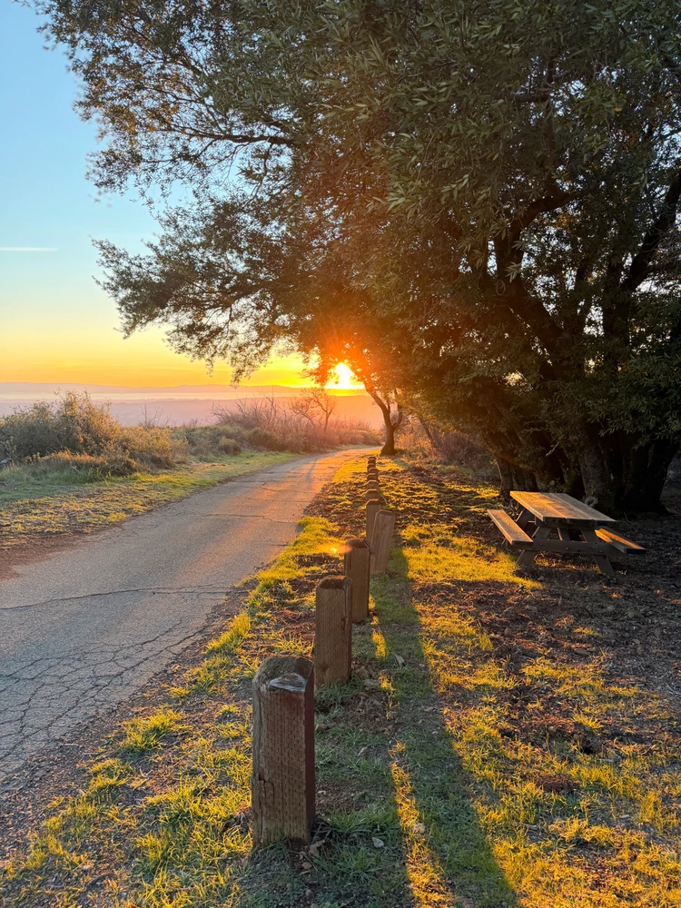 GIF uploaded by R. Sean