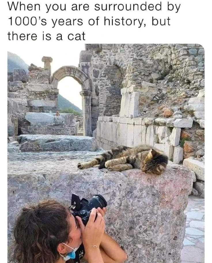 GIF uploaded by Annyrquista