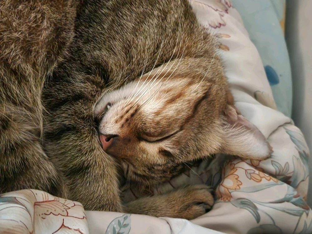 GIF uploaded by Hannah