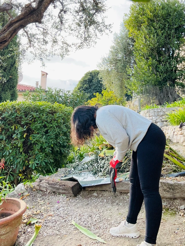 Image uploaded by Ruby