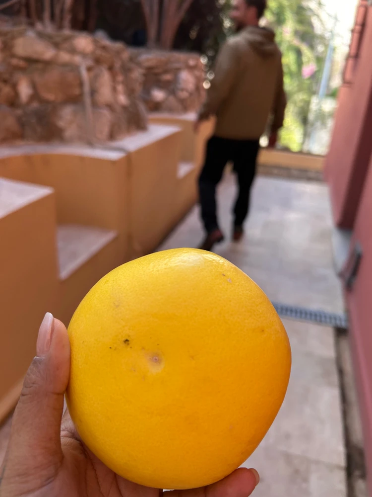 Image uploaded by Ruby