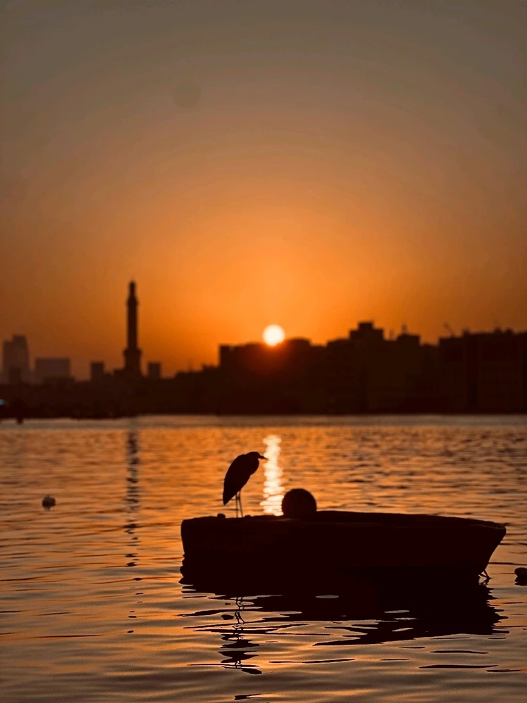 GIF uploaded by 𝙿𝚁𝙰𝙽𝙰𝚅𝚅