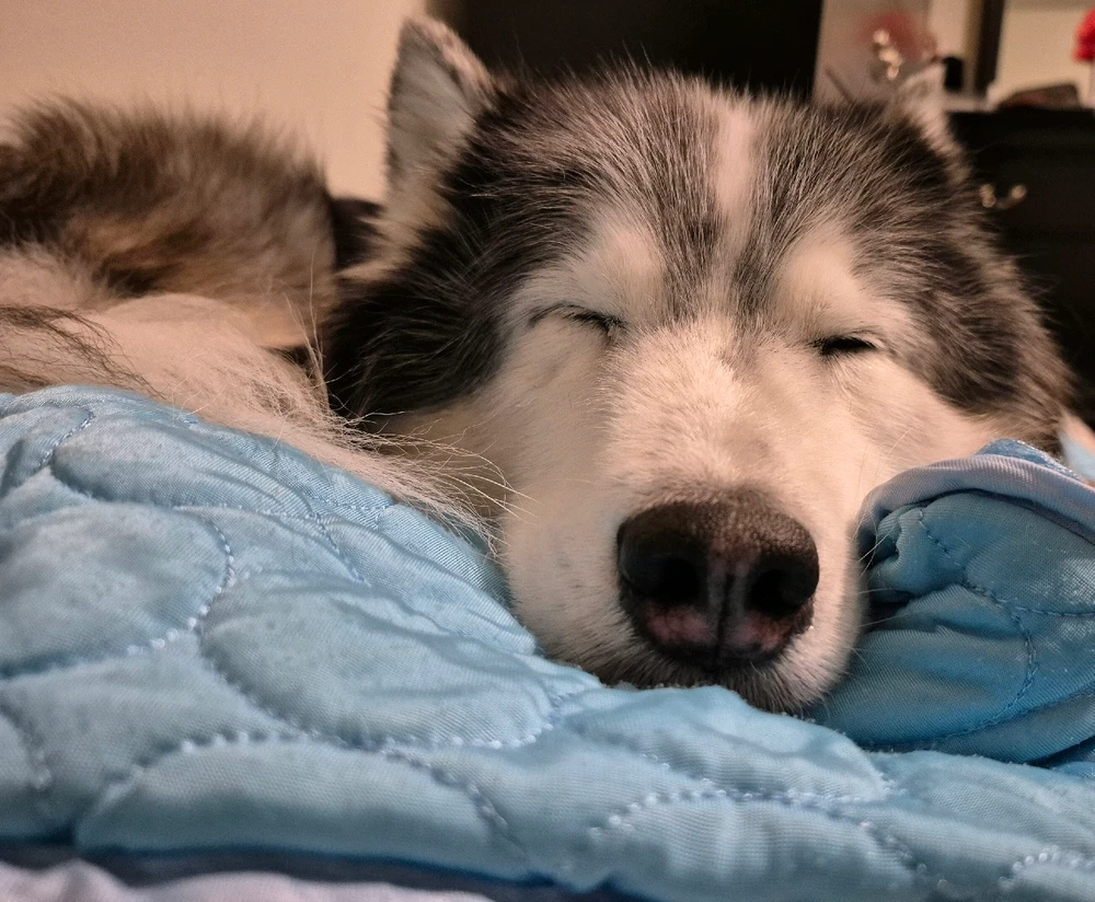 GIF uploaded by Victoria