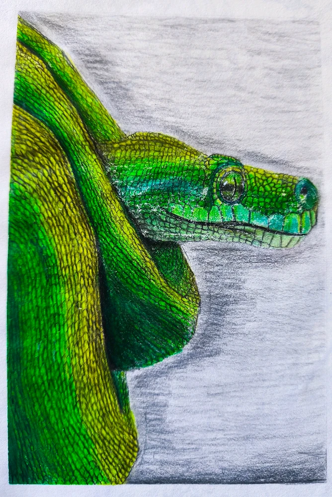 Obrázek nahrál Eliška