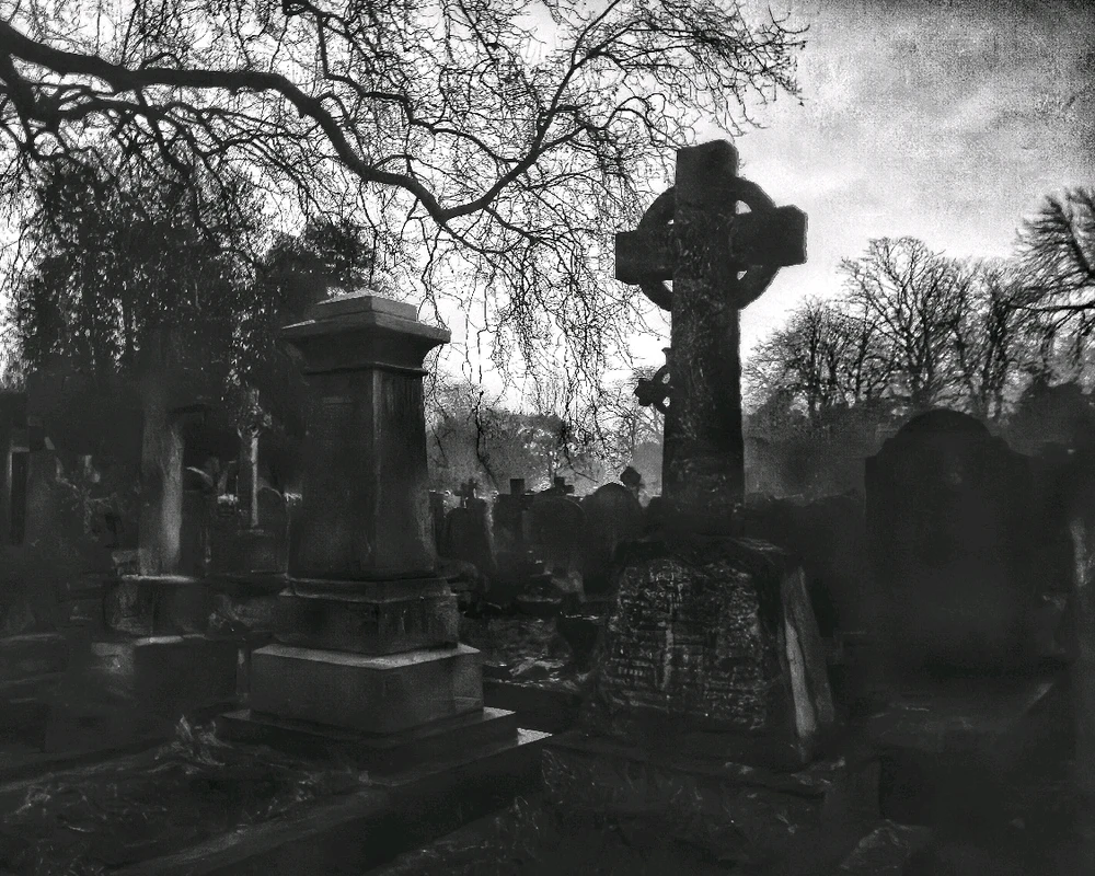 Image uploaded by Ryan