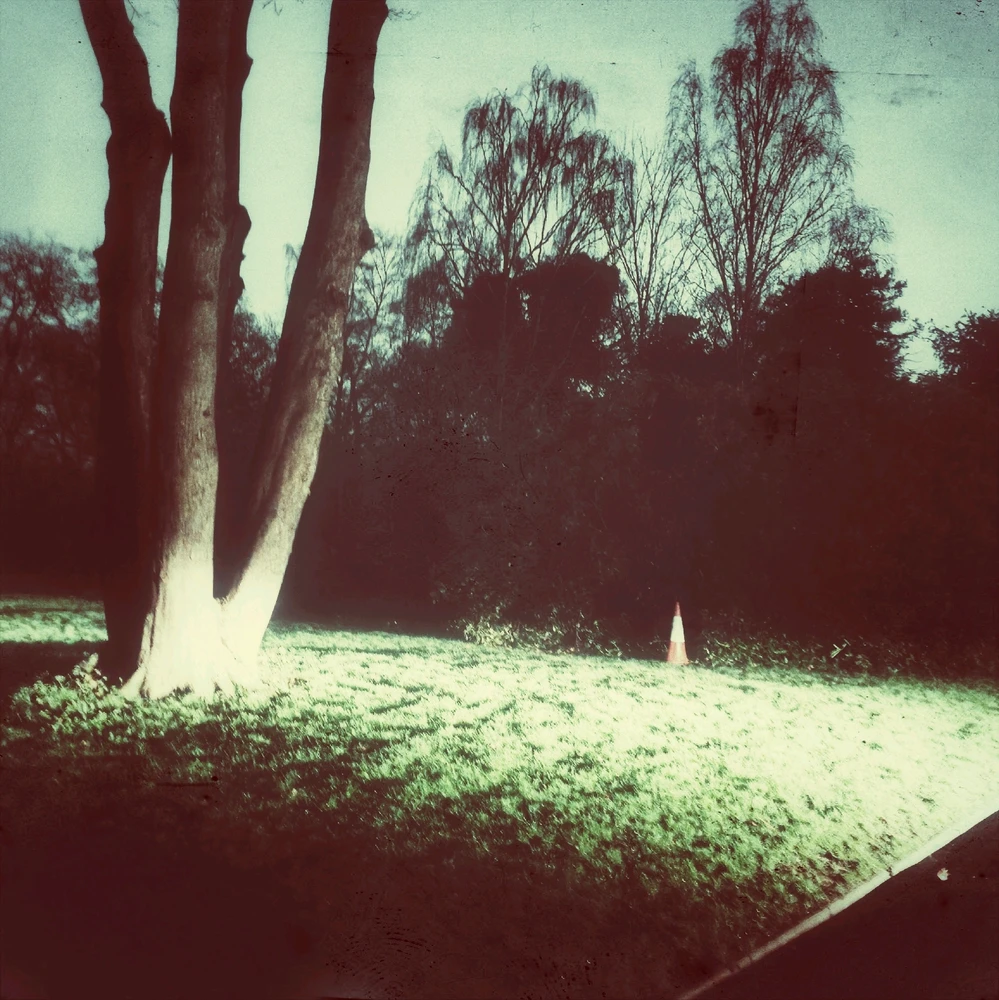 Image uploaded by Ryan