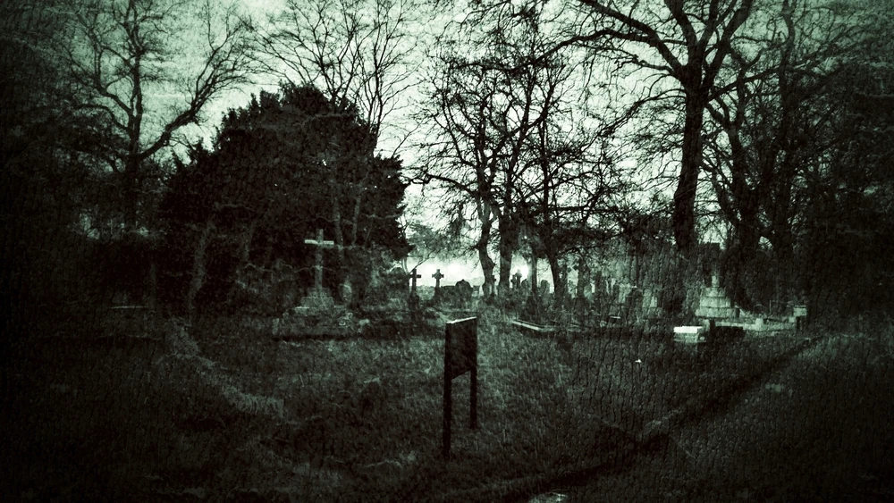 Image uploaded by Ryan