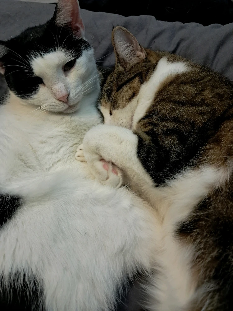 GIF uploaded by Tomek