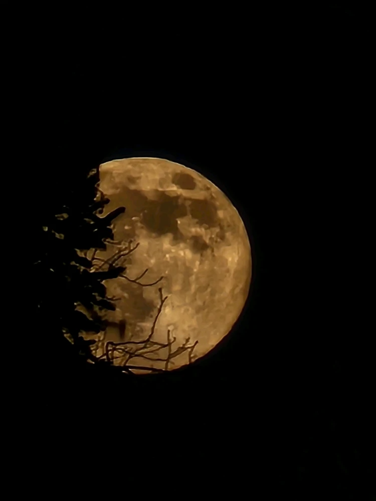 Image uploaded by Branden