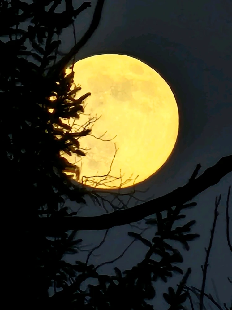 Image uploaded by Branden