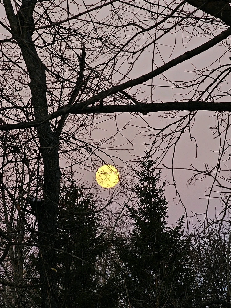 Image uploaded by Branden