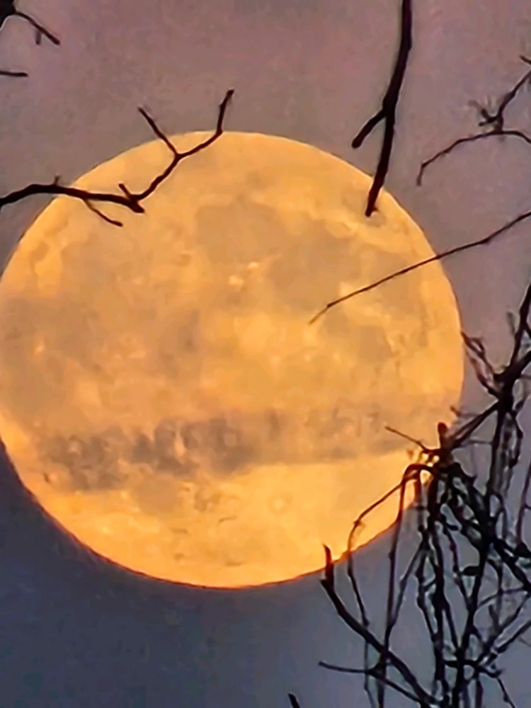 Image uploaded by Branden