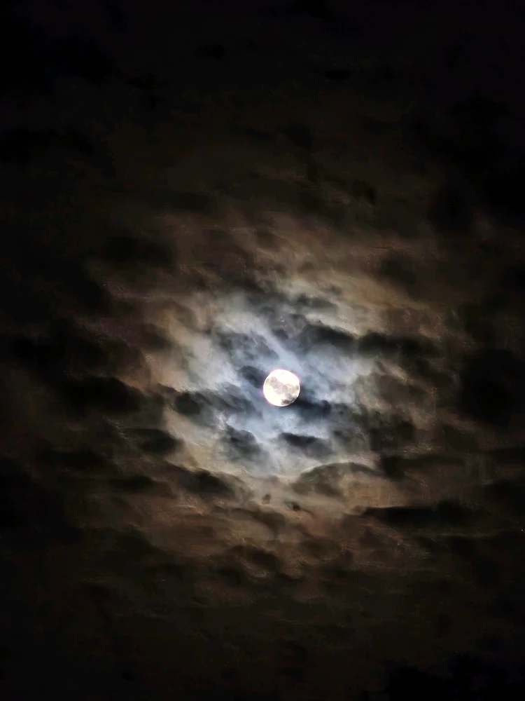 Image uploaded by Branden