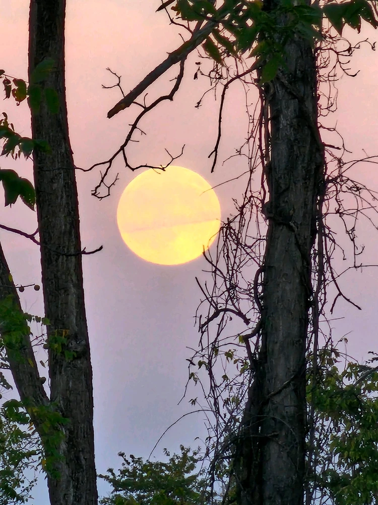 Image uploaded by Branden