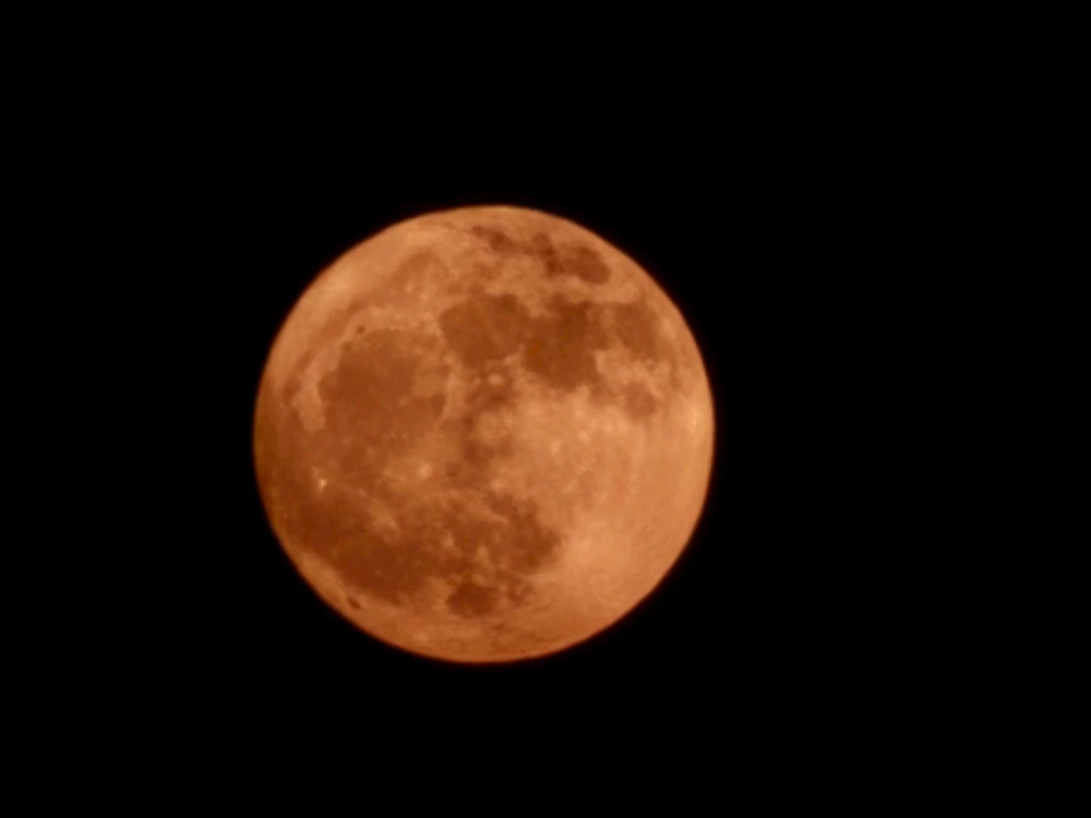 Image uploaded by Branden