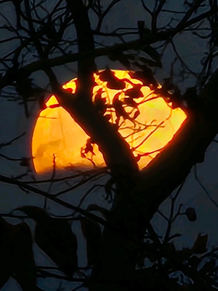 Image uploaded by Branden