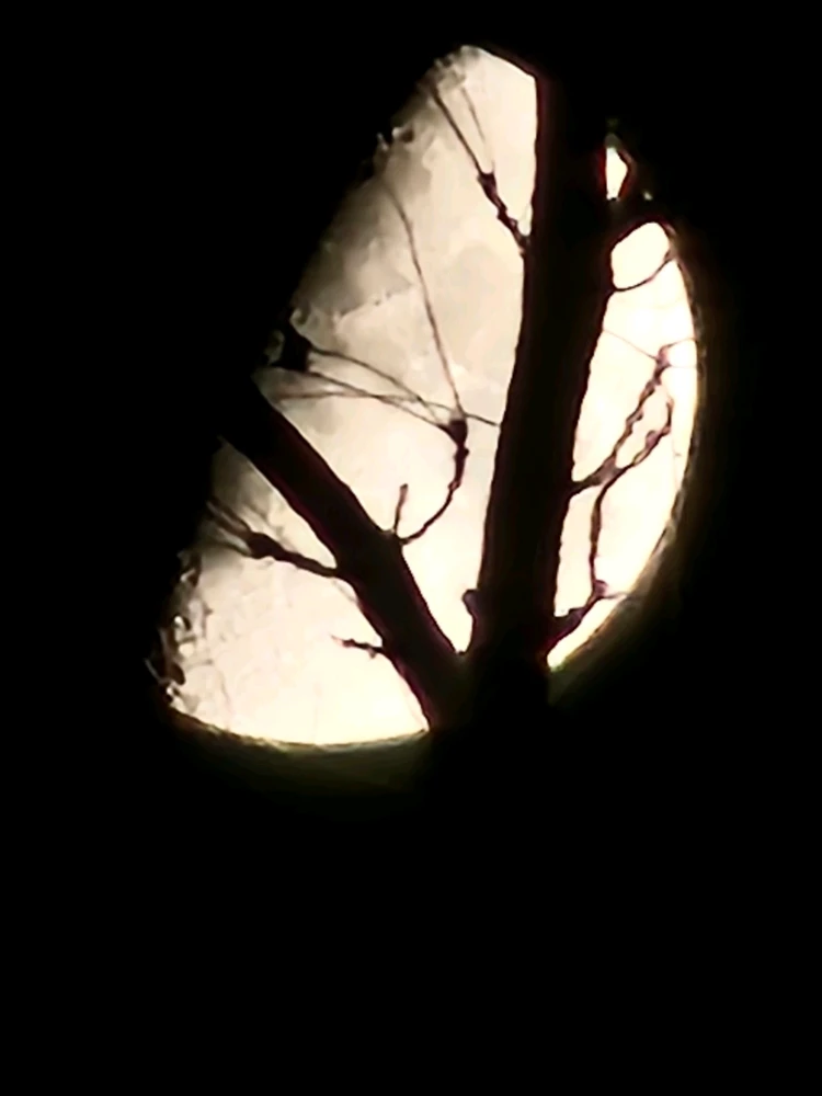 Image uploaded by Branden