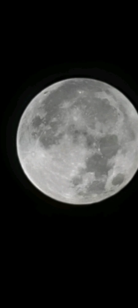 Image uploaded by Branden