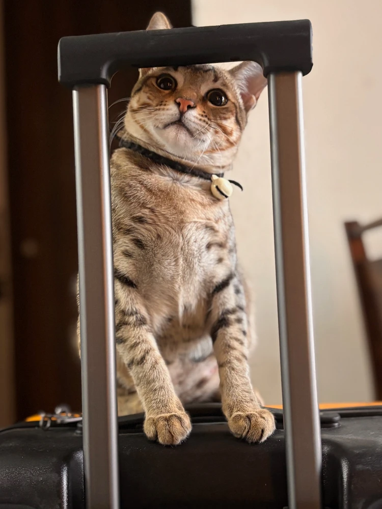 GIF uploaded by Prerna