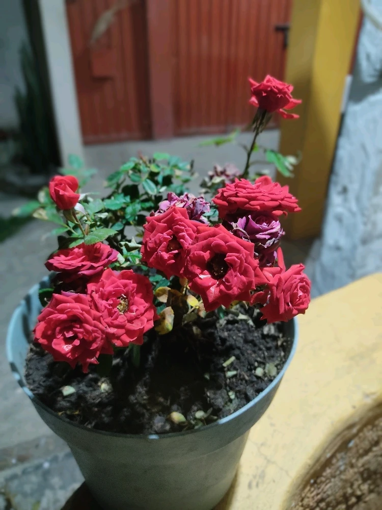 GIF subido por Rob León