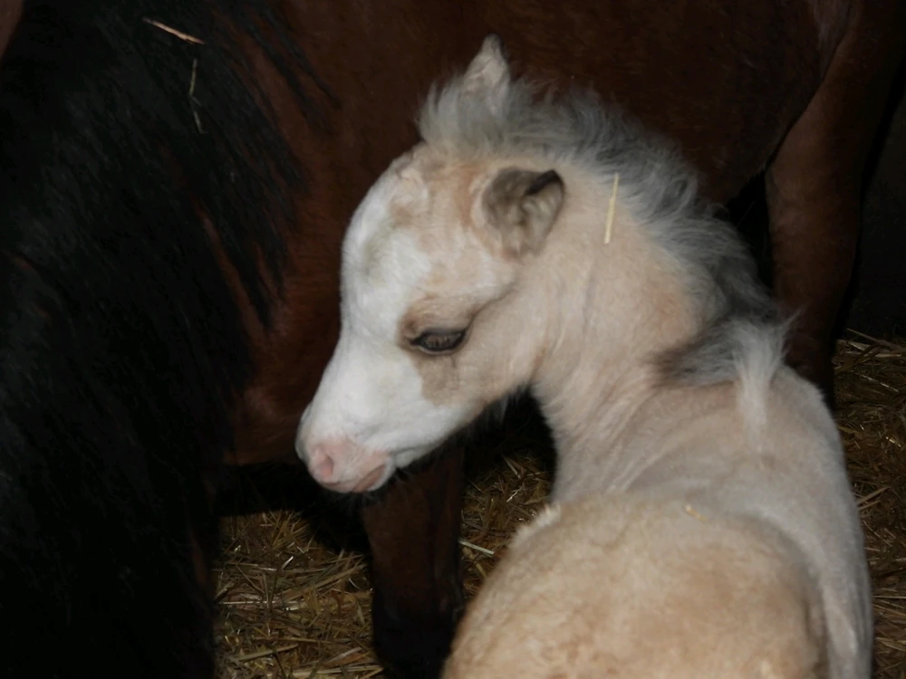 Imagen subida por Nati