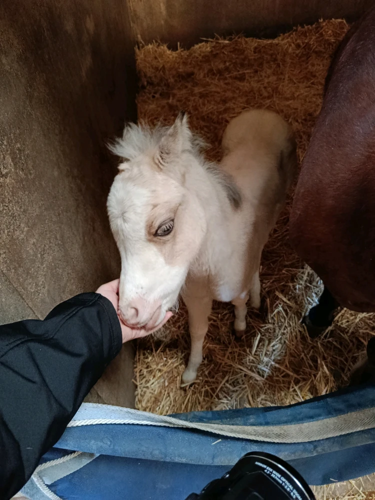 Imagen subida por Nati