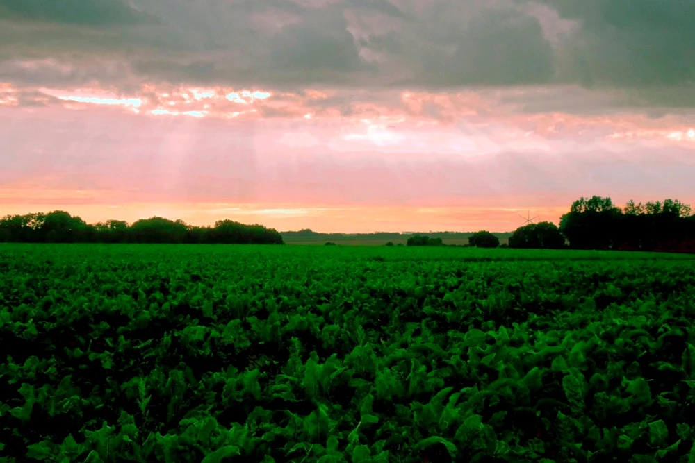 GIF ajouté par Playerone76