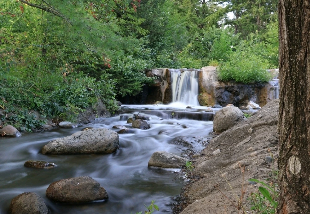 GIF uploaded by Rick