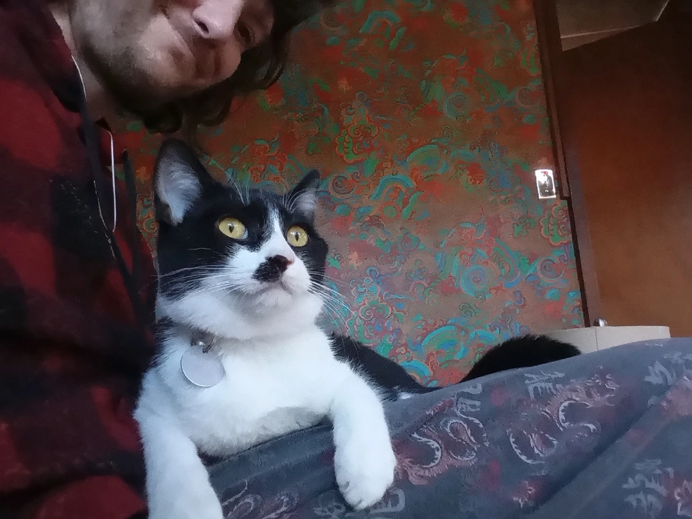 Image uploaded by Zack