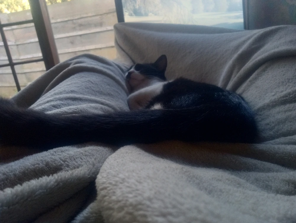 Image uploaded by Zack