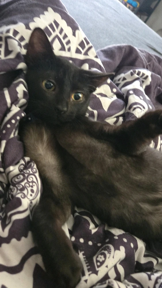 GIF uploaded by Jade