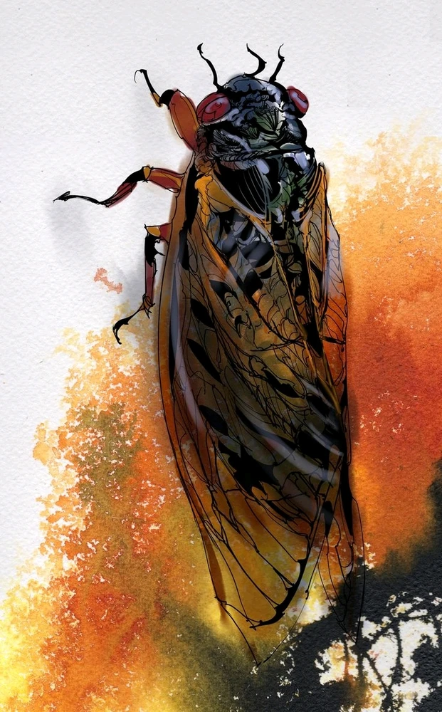 Image uploaded by Douglas