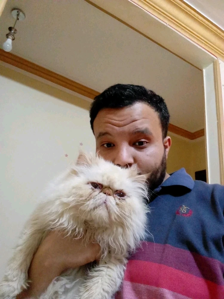 GIF uploaded by Osman