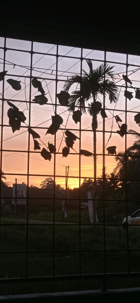 Image uploaded by Alicia