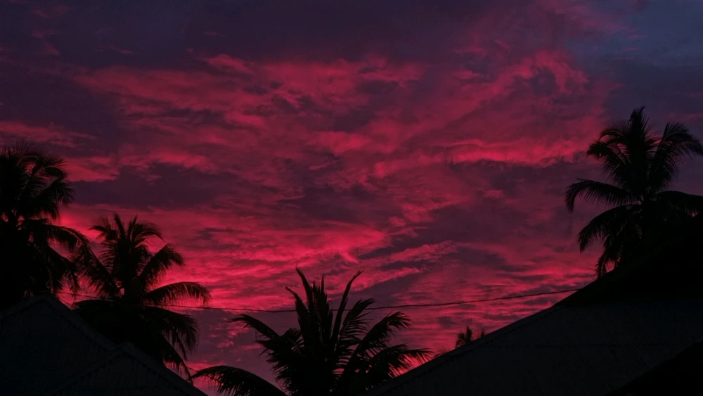 Image uploaded by Alicia