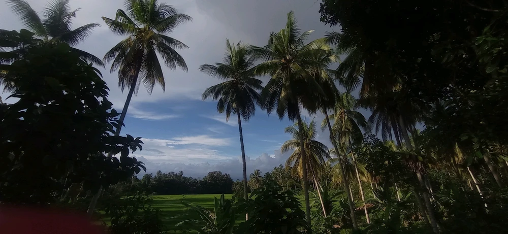 Image uploaded by Alicia