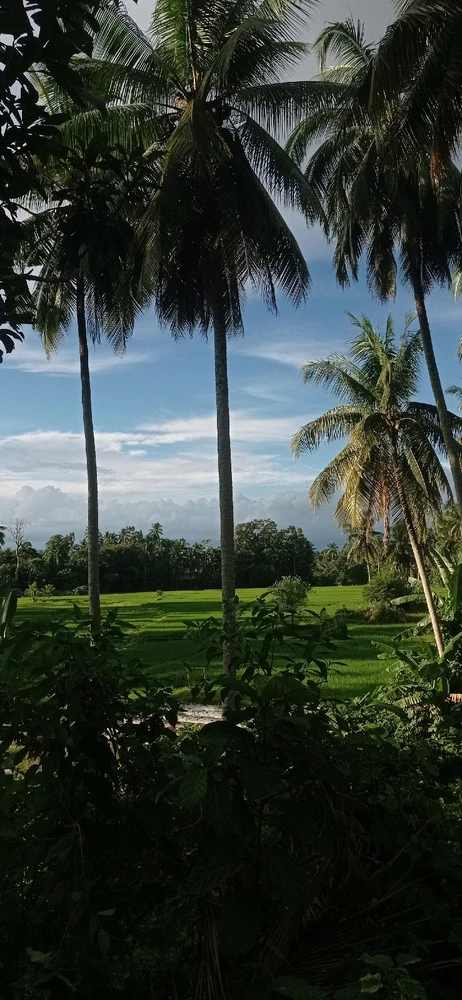 Image uploaded by Alicia