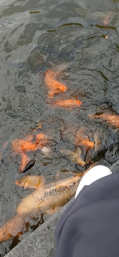 Image uploaded by Alicia