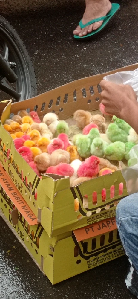 Image uploaded by Alicia