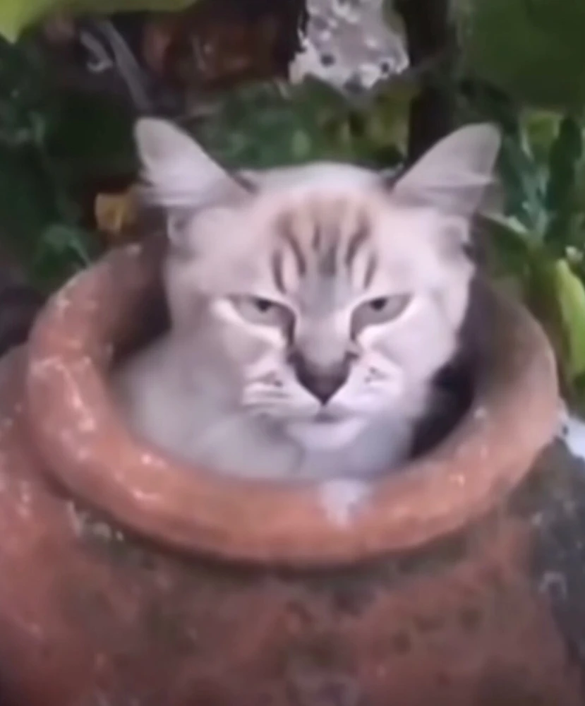 GIF uploaded by Leon