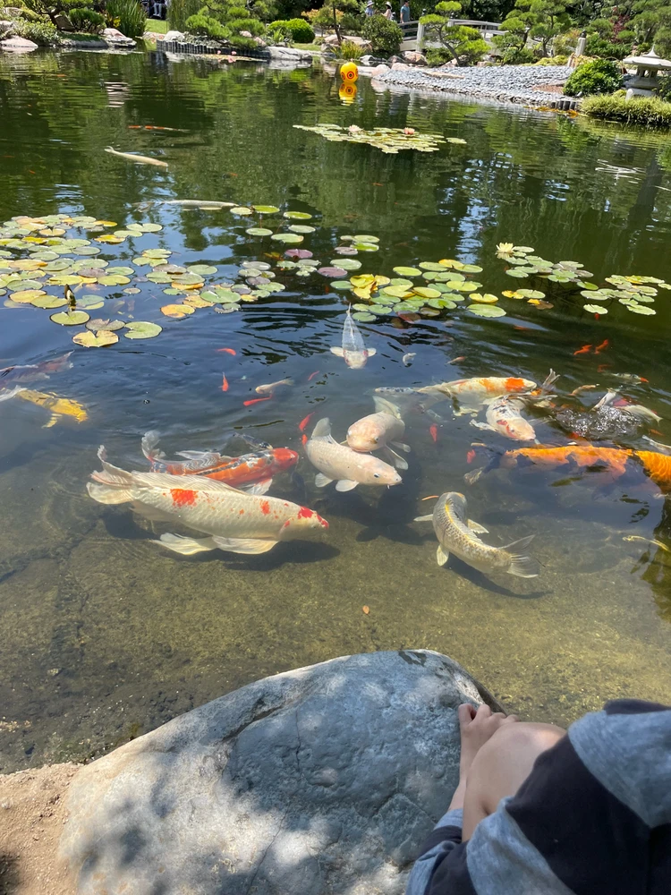 Image uploaded by Jameson