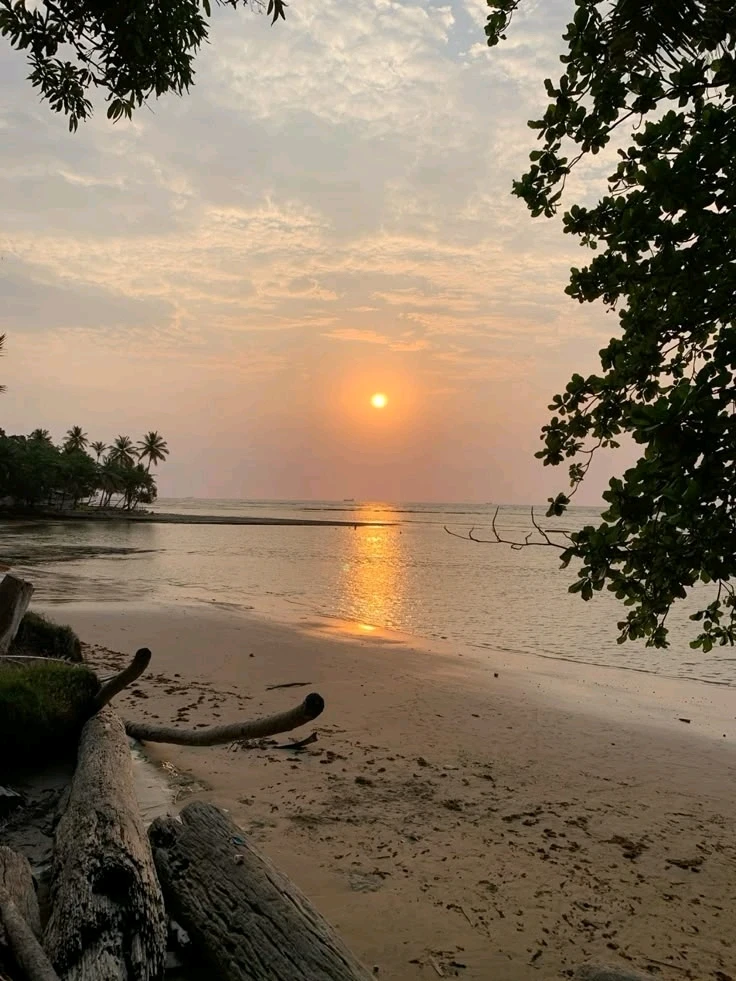 GIF ajouté par Müller