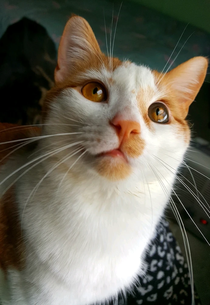 GIF uploaded by Crystal