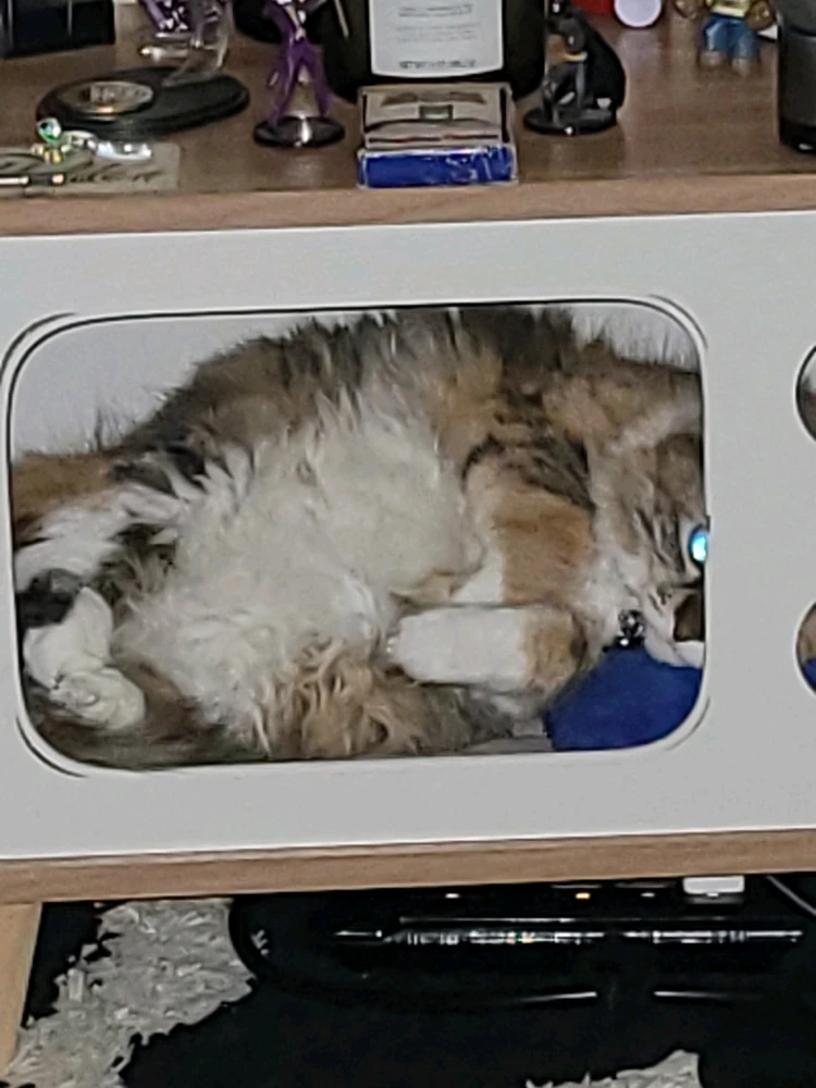 GIF uploaded by Brad