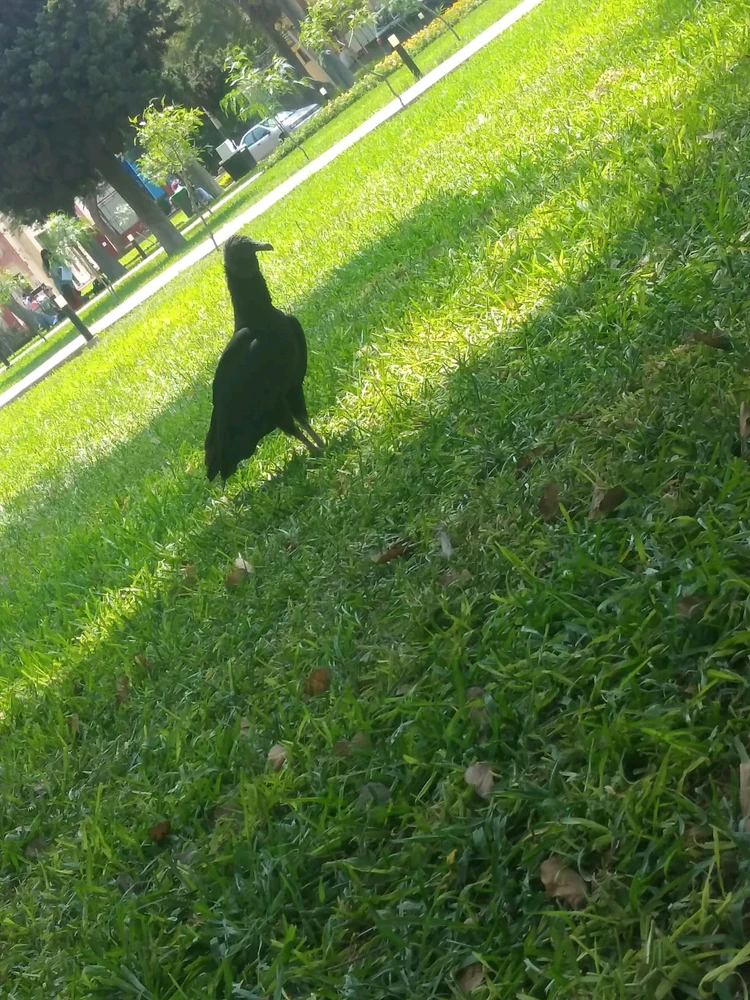 GIF uploaded by Naomi