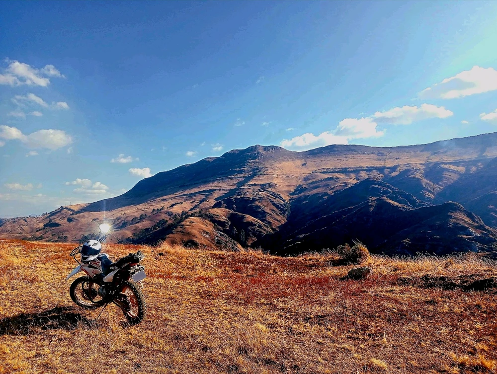 GIF subido por Lettuce