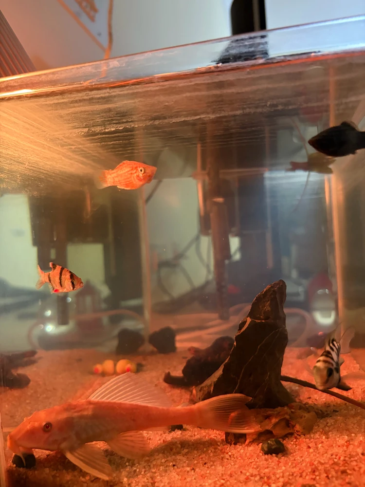 GIF uploaded by Parameswaran